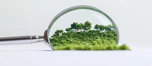 Auditor Interno ISO 14001 Sistemas de Gestão Ambiental